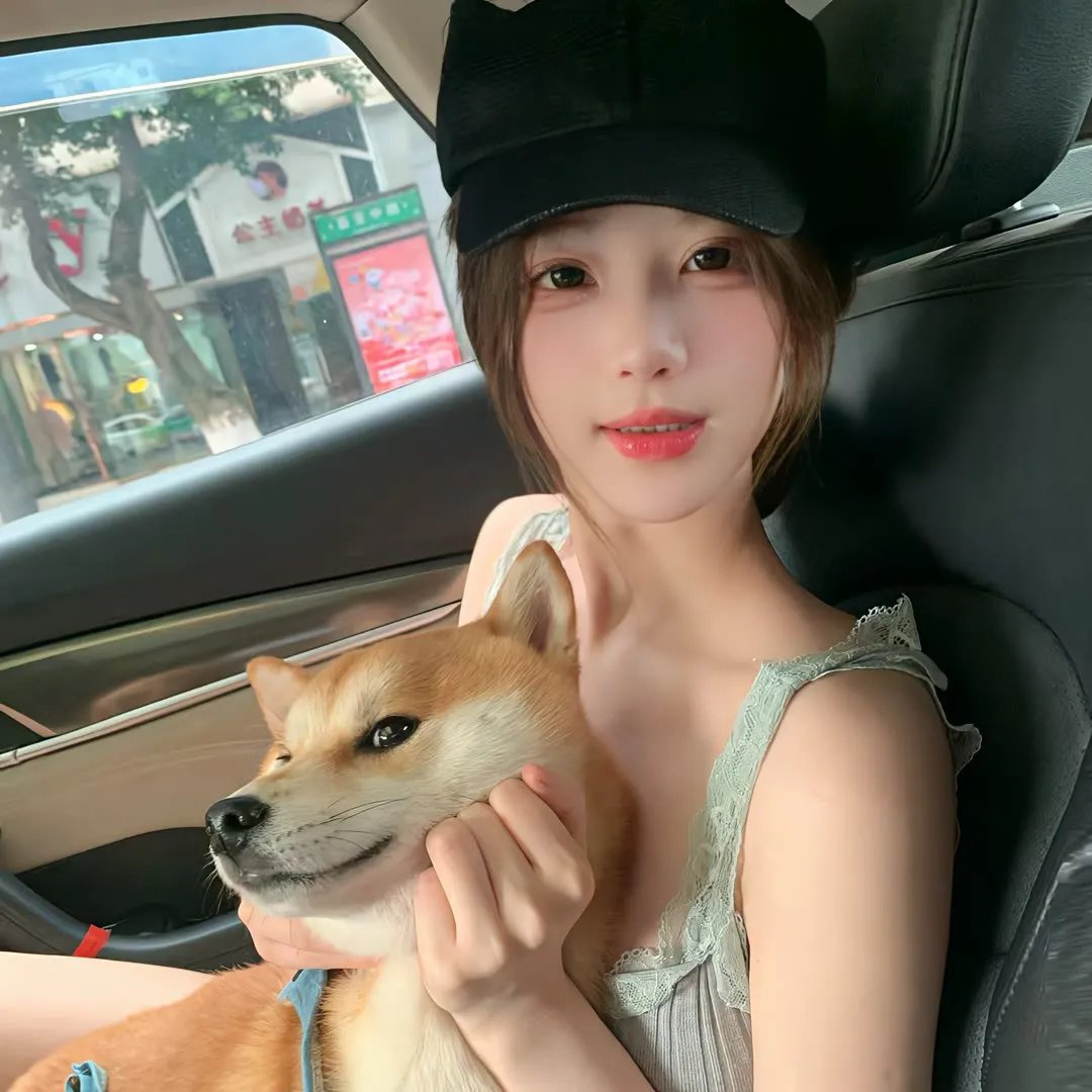 全速前进金龟车