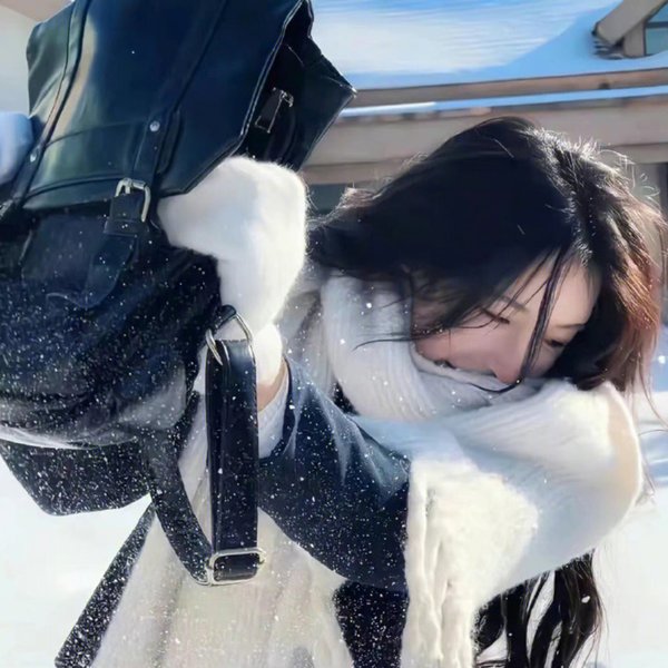 爱猫之城